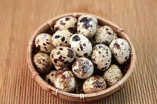鵪鶉蛋是什么鳥(niǎo)下的蛋 鵪鶉蛋一天適合吃多少