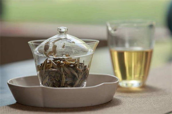 白茶是涼性的嗎 白茶是綠茶嗎 白茶是涼性的嗎 白茶是綠茶嗎