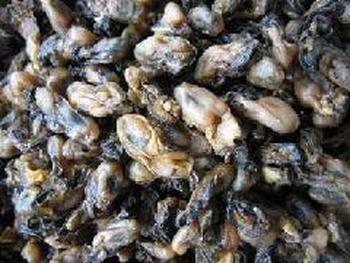 清蒸海蠣干怎么做好吃 吃干海蠣要注意什么 清蒸海蠣干怎么做好吃 吃干海蠣要注意什么