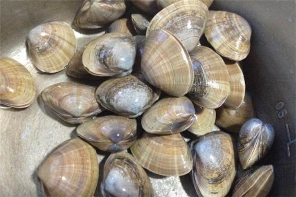 花蜆子的做法 花蜆子要煮多久 花蜆子的做法 花蜆子要煮多久