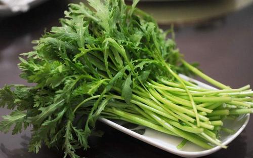 茼蒿可以包餃子嗎 茼蒿可以和什么一起包 茼蒿可以包餃子嗎 茼蒿可以和什么一起包