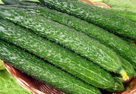 黃瓜能清熱去火嗎 黃瓜小米粥怎么做清熱去火