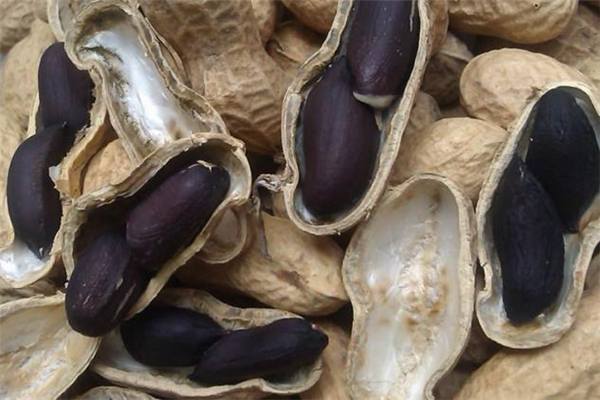 黑皮花生和紅皮花生哪個好 黑皮花生怎么吃