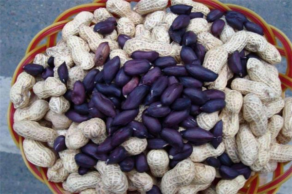 黑皮花生和紅皮花生哪個好 黑皮花生怎么吃 黑皮花生和紅皮花生哪個好 黑皮花生怎么吃