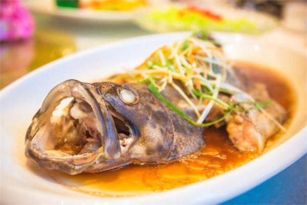 石斑魚都是野生的嗎 野生石斑魚怎么辨別 石斑魚都是野生的嗎 野生石斑魚怎么辨別