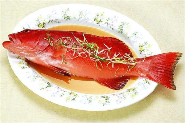 紅石斑魚多少錢一斤 紅石斑魚的做法 紅石斑魚多少錢一斤 紅石斑魚的做法