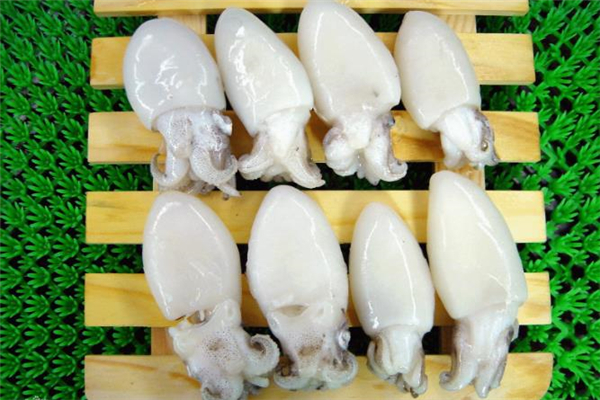 墨魚什么時(shí)候吃最好 墨魚搭配什么一起吃最好 墨魚什么時(shí)候吃最好 墨魚搭配什么一起吃最好