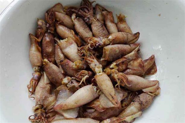 墨魚什么時(shí)候吃最好 墨魚搭配什么一起吃最好 墨魚什么時(shí)候吃最好 墨魚搭配什么一起吃最好