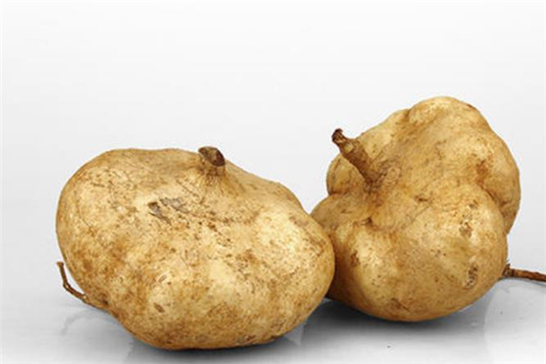 涼薯怎么保存 涼薯可以保存多久 涼薯怎么保存 涼薯可以保存多久