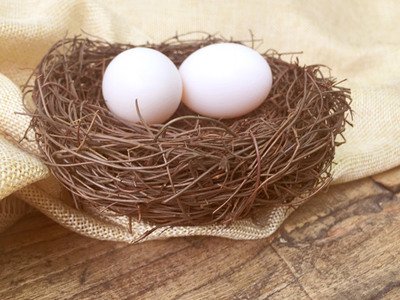 鴿子蛋有假的嗎 如何辨別鴿子蛋真假 鴿子蛋有假的嗎 如何辨別鴿子蛋真假