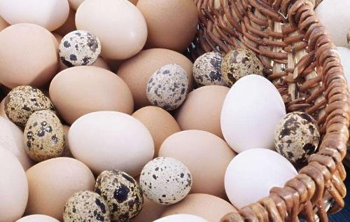 一個鴿子蛋有多大 一個鴿子蛋有多重 一個鴿子蛋有多大 一個鴿子蛋有多重