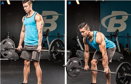 硬拉可以練豎脊肌嗎 練豎脊肌的好處 硬拉可以練豎脊肌嗎 練豎脊肌的好處