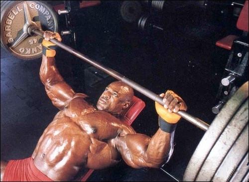 臥推主要鍛煉哪里 臥推背部用力的原因 臥推主要鍛煉哪里 臥推背部用力的原因