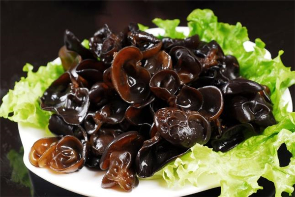 煮熟的木耳能放多久 煮好的木耳泡了一晚上還能吃嗎 煮熟的木耳能放多久 煮好的木耳泡了一晚上還能吃嗎