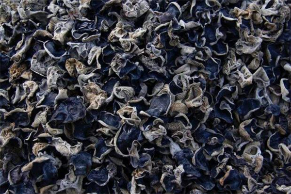 五年前的干木耳還能吃嗎 干木耳能放幾年 五年前的干木耳還能吃嗎 干木耳能放幾年