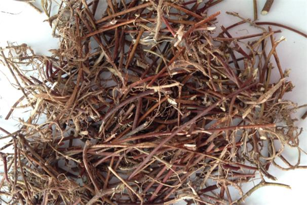 雞骨草對(duì)膽囊炎有效果嗎 雞骨草可以長(zhǎng)期泡水喝嗎