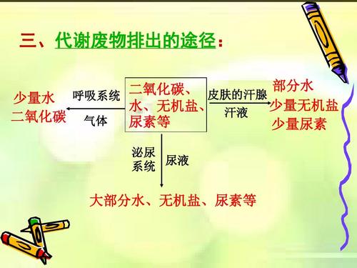 人體中含有尿素嗎 尿素過高有什么影響 人體中含有尿素嗎 尿素過高有什么影響