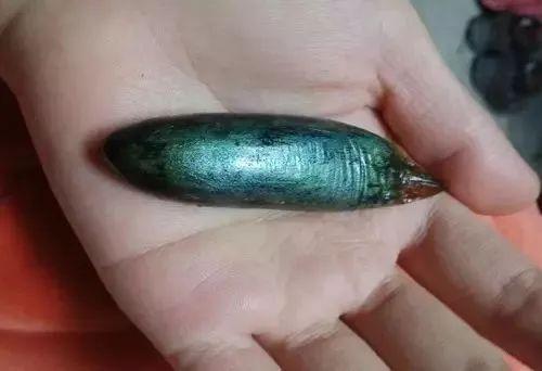 魚膽有毒嗎 魚膽中毒的表現(xiàn) 魚膽有毒嗎 魚膽中毒的表現(xiàn)