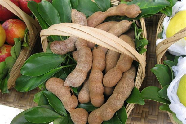 吃酸角能預防癌癥嗎 酸角能防輻射嗎 吃酸角能預防癌癥嗎 酸角能防輻射嗎