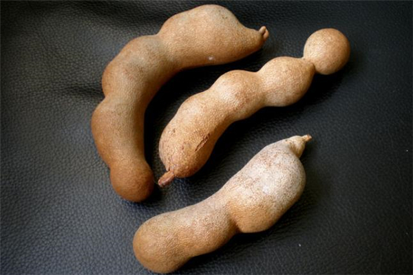 吃酸角能預防癌癥嗎 酸角能防輻射嗎 吃酸角能預防癌癥嗎 酸角能防輻射嗎