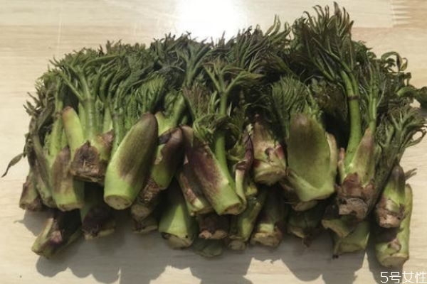 刺龍芽可以吃 刺龍芽有什么營養(yǎng)價(jià)值