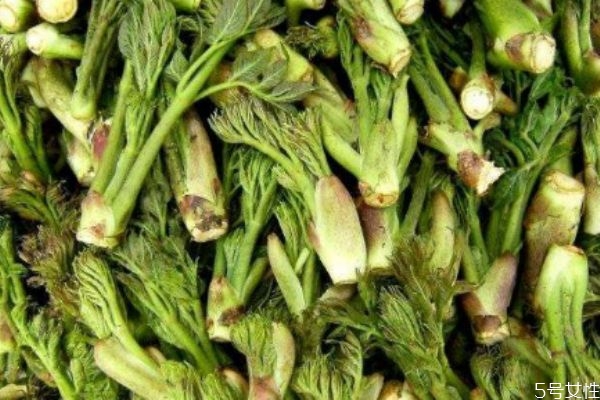 刺龍芽可以吃 刺龍芽有什么營養(yǎng)價(jià)值