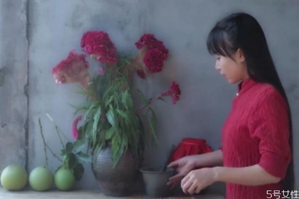 抖音最火李子柒 李子柒為什么這么火 抖音最火李子柒 李子柒為什么這么火