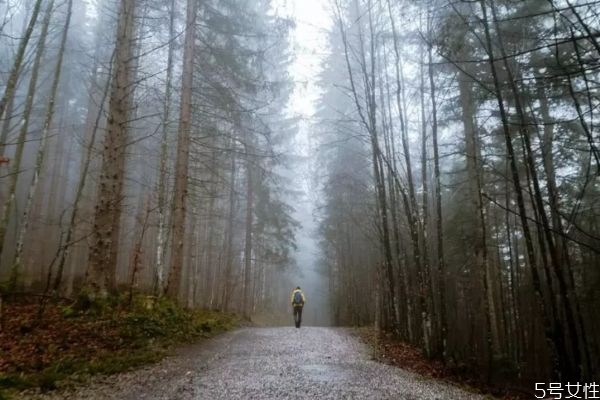 男人為什么想復(fù)婚 男人離了婚還想復(fù)婚嗎 男人為什么想復(fù)婚 男人離了婚還想復(fù)婚嗎