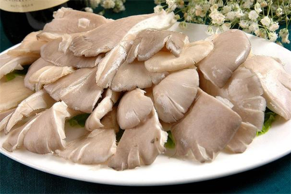 平菇為什么會(huì)長(zhǎng)白毛 平菇為什么發(fā)黃 平菇為什么會(huì)長(zhǎng)白毛 平菇為什么發(fā)黃