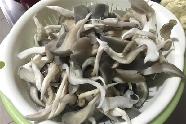 平菇放了半個(gè)月還能吃嗎 平菇會(huì)發(fā)霉嗎 平菇放了半個(gè)月還能吃嗎 平菇會(huì)發(fā)霉嗎