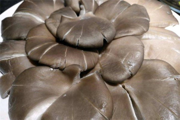 平菇放了半個(gè)月還能吃嗎 平菇會(huì)發(fā)霉嗎 平菇放了半個(gè)月還能吃嗎 平菇會(huì)發(fā)霉嗎