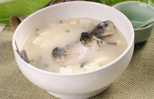 鯽魚(yú)豆腐湯能補(bǔ)鈣嗎 鯽魚(yú)牛奶湯怎么做好吃 鯽魚(yú)豆腐湯能補(bǔ)鈣嗎 鯽魚(yú)牛奶湯怎么做好吃