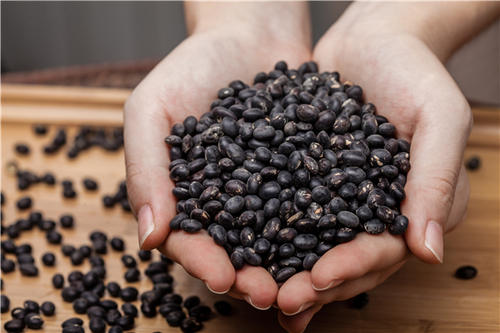 吃黑豆能補血嗎 蜜煉黑豆怎樣做好吃 吃黑豆能補血嗎 蜜煉黑豆怎樣做好吃