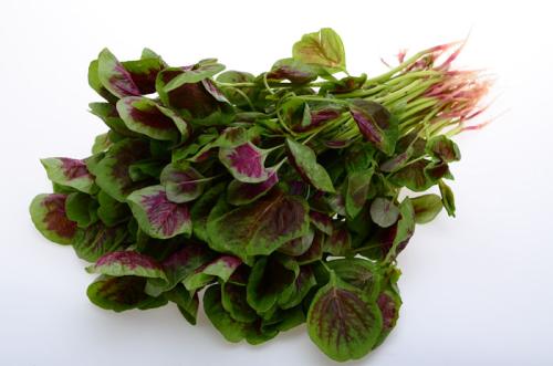 莧菜的鐵含量高嗎 莧菜豆腐湯怎么做好吃 莧菜的鐵含量高嗎 莧菜豆腐湯怎么做好吃