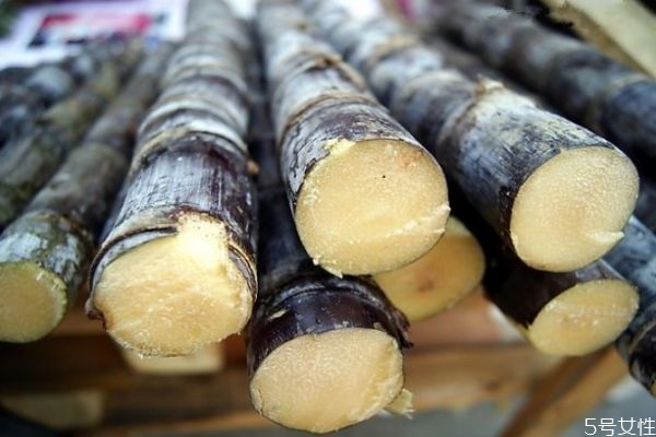 吃甘蔗會上火嗎 甘蔗發(fā)霉可以吃嗎 吃甘蔗會上火嗎 甘蔗發(fā)霉可以吃嗎
