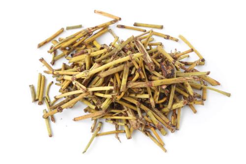 麻黃有什么功效 麻黃素和麻黃堿有什么區(qū)別呢 麻黃有什么功效 麻黃素和麻黃堿有什么區(qū)別呢