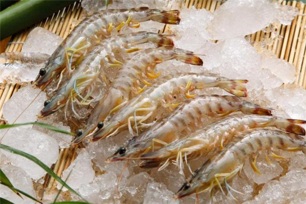 青蝦泡酒可以壯陽嗎 大青蝦泡酒的功效與作用 青蝦泡酒可以壯陽嗎 大青蝦泡酒的功效與作用