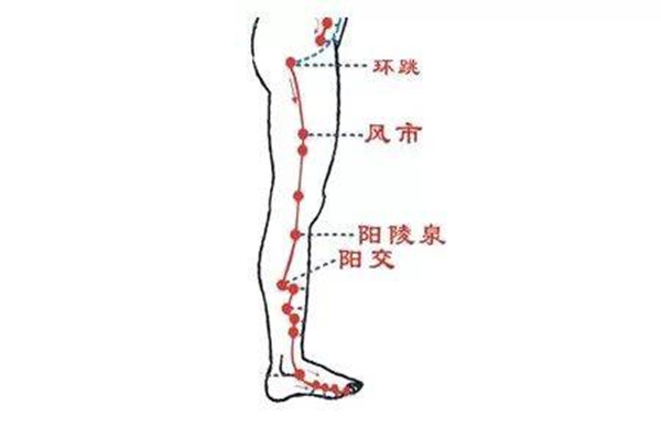 敲打膽經(jīng)多久能瘦腿呢 水腫型腿能敲打膽經(jīng)瘦腿嗎 敲打膽經(jīng)多久能瘦腿呢 水腫型腿能敲打膽經(jīng)瘦腿嗎