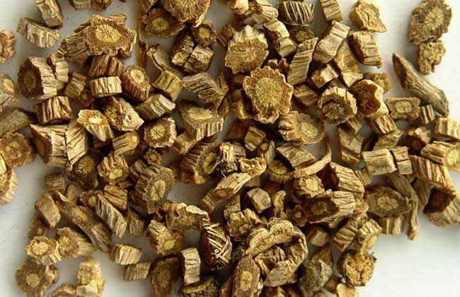 中藥防風是什么 防風的藥用價值