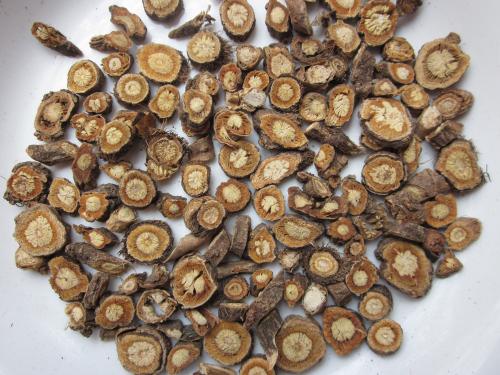 中藥防風是什么 防風的藥用價值