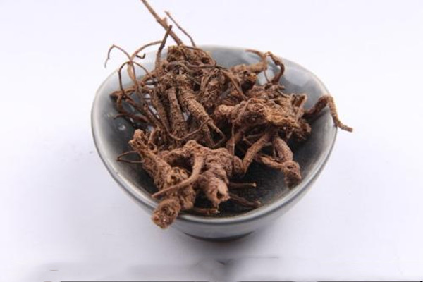 隔山香的功能主治 隔山香的作用 隔山香的功能主治 隔山香的作用