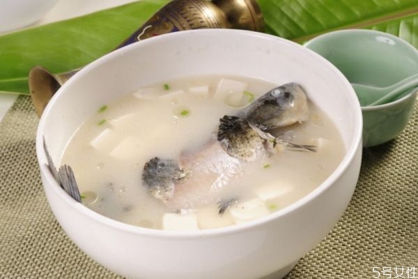 鯽魚(yú)湯怎么做好吃 鯽魚(yú)湯的簡(jiǎn)單做法 鯽魚(yú)湯怎么做好吃 鯽魚(yú)湯的簡(jiǎn)單做法