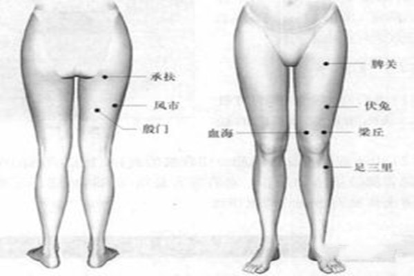 走罐和拔罐的區(qū)別 走罐減肥要注意什么 走罐和拔罐的區(qū)別 走罐減肥要注意什么