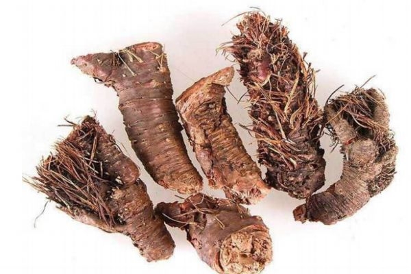 紅景天的食用方法有什么 紅景天可以怎么食用 紅景天的食用方法有什么 紅景天可以怎么食用