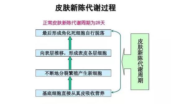怎樣能提高代謝功能 提高代謝功能的方法 怎樣能提高代謝功能 提高代謝功能的方法
