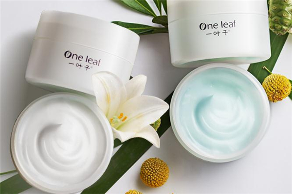 一葉子睡眠面膜多少錢 一葉子睡眠面膜孕婦能用嗎 一葉子睡眠面膜多少錢 一葉子睡眠面膜孕婦能用嗎