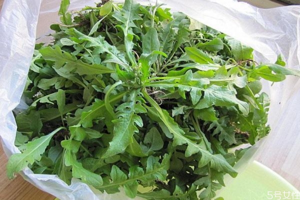 芥菜為什么會苦 芥菜苦的原因有什么 芥菜為什么會苦 芥菜苦的原因有什么