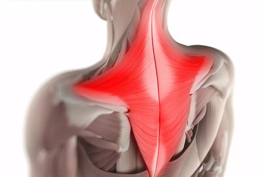 斜方肌怎么變小 斜方肌變小的方法 斜方肌怎么變小 斜方肌變小的方法