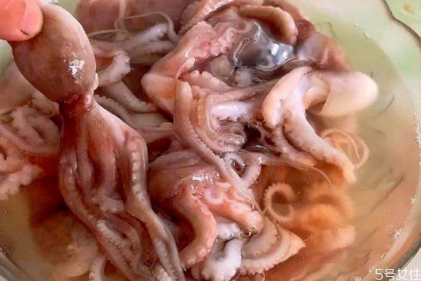 八爪魚煮多久會熟 八爪魚要煮多久 八爪魚煮多久會熟 八爪魚要煮多久