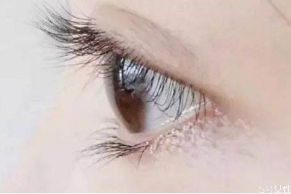 燙睫毛對(duì)睫毛有損傷嗎 燙了睫毛怎么恢復(fù)原狀 燙睫毛對(duì)睫毛有損傷嗎 燙了睫毛怎么恢復(fù)原狀